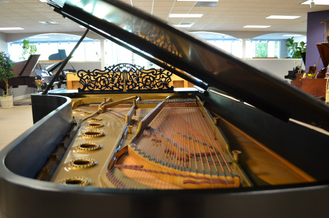 1899 One of a kind Steinway Concert Grand piano - Grand Pianos